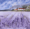 Campo de lavanda