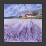 Campo de lavanda