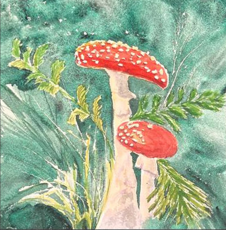 Matamoscas