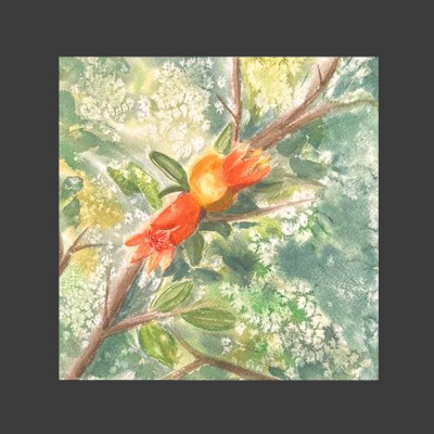 Цветущий гранат