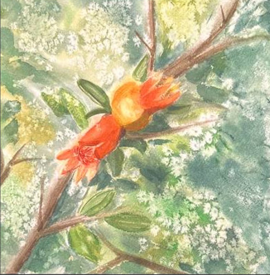 Цветущий гранат