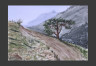 Sendero en las montañas